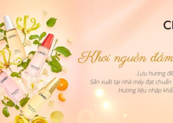 Câu chuyện CINDY