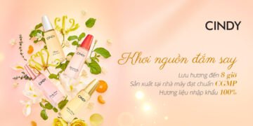 Câu chuyện CINDY