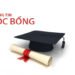 CHƯƠNG TRÌNH HỌC BỔNG LÊ DUY TÂN – NGUYỄN ĐỨC CẢNH
